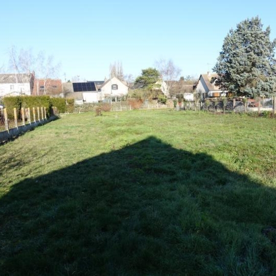  A.C.B.I. - AGENCES CHRISTINE BOYER IMMOBILIER : Ground | OUZOUER-LE-MARCHE (41240) | 0 m2 | 66 000 € 