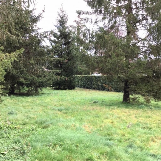  A.C.B.I. - AGENCES CHRISTINE BOYER IMMOBILIER : Ground | OUZOUER-LE-MARCHE (41240) | 0 m2 | 56 000 € 