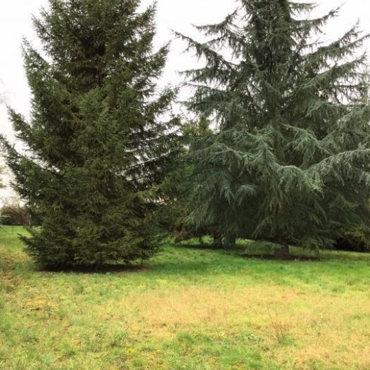  A.C.B.I. - AGENCES CHRISTINE BOYER IMMOBILIER : Ground | OUZOUER-LE-MARCHE (41240) | 0 m2 | 56 000 € 