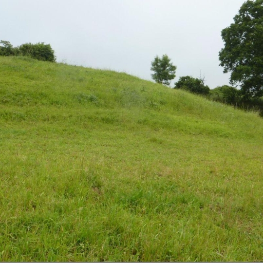  A.C.B.I. - AGENCES CHRISTINE BOYER IMMOBILIER : Ground | VENDOME (41100) | 0 m2 | 39 800 € 
