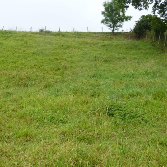  A.C.B.I. - AGENCES CHRISTINE BOYER IMMOBILIER : Ground | VENDOME (41100) | 0 m2 | 39 800 € 
