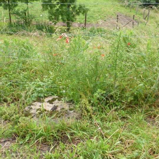 A.C.B.I. - AGENCES CHRISTINE BOYER IMMOBILIER : Ground | VENDOME (41100) | 0 m2 | 39 800 € 