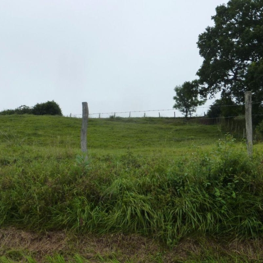  A.C.B.I. - AGENCES CHRISTINE BOYER IMMOBILIER : Ground | VENDOME (41100) | 0 m2 | 39 800 € 