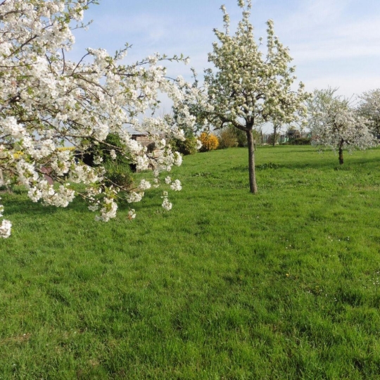  A.C.B.I. - AGENCES CHRISTINE BOYER IMMOBILIER : Ground | LA CHAPELLE-ENCHERIE (41290) | 0 m2 | 29 800 € 