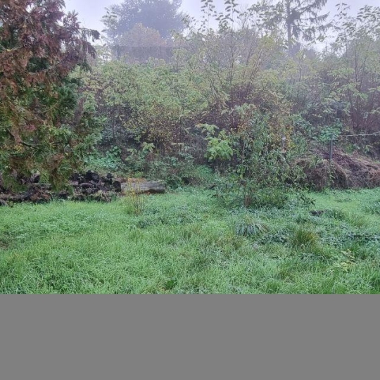  A.C.B.I. - AGENCES CHRISTINE BOYER IMMOBILIER : Maison / Villa | LA CHARTRE-SUR-LE-LOIR (72340) | 74 m2 | 91 000 € 