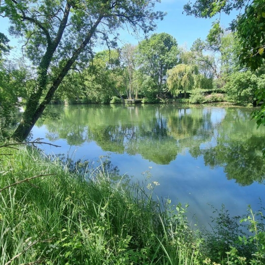  A.C.B.I. - AGENCES CHRISTINE BOYER IMMOBILIER : Terrain | AREINES (41100) | 0 m2 | 8 500 € 