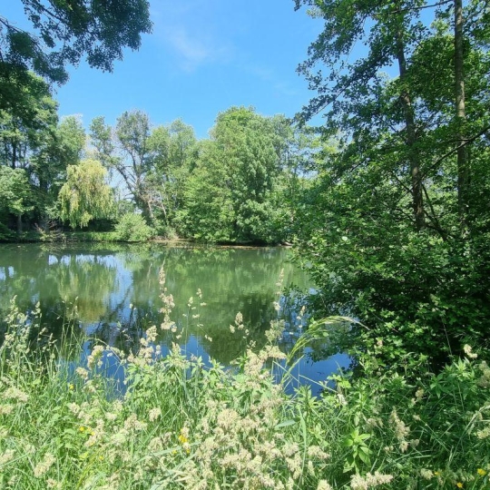  A.C.B.I. - AGENCES CHRISTINE BOYER IMMOBILIER : Terrain | AREINES (41100) | 0 m2 | 8 500 € 