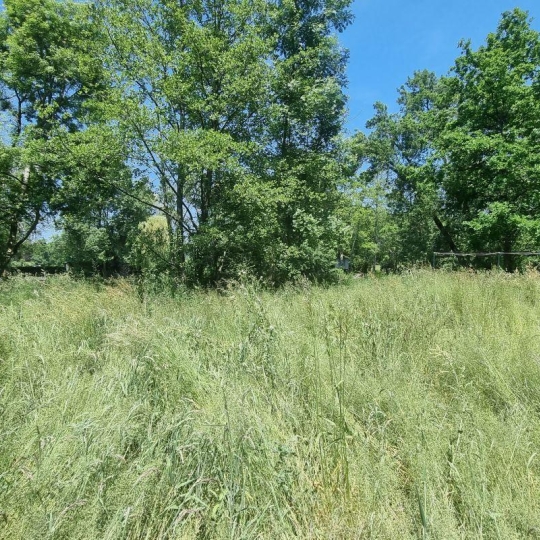  A.C.B.I. - AGENCES CHRISTINE BOYER IMMOBILIER : Terrain | AREINES (41100) | 0 m2 | 8 500 € 