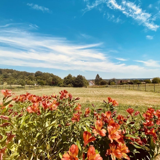  A.C.B.I. - AGENCES CHRISTINE BOYER IMMOBILIER : House | VENDOME (41100) | 205 m2 | 447 200 € 