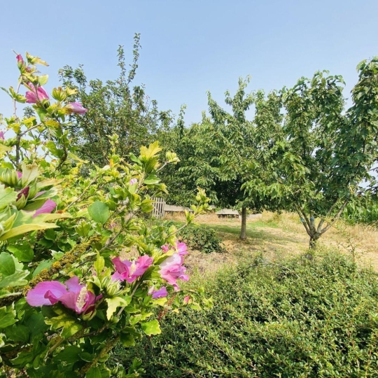  A.C.B.I. - AGENCES CHRISTINE BOYER IMMOBILIER : House | VENDOME (41100) | 200 m2 | 343 200 € 