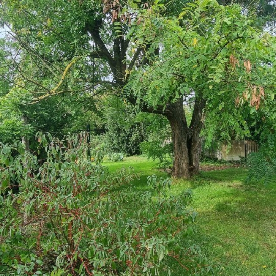  A.C.B.I. - AGENCES CHRISTINE BOYER IMMOBILIER : House | VENDOME (41100) | 155 m2 | 231 000 € 