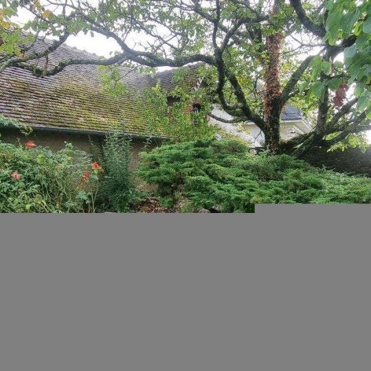  A.C.B.I. - AGENCES CHRISTINE BOYER IMMOBILIER : House | VENDOME (41100) | 275 m2 | 479 500 € 