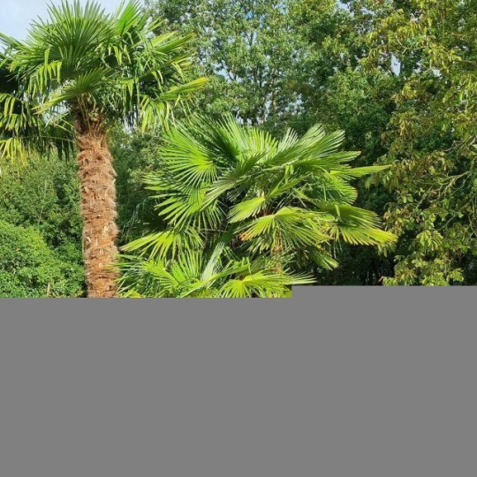 A.C.B.I. - AGENCES CHRISTINE BOYER IMMOBILIER : Maison / Villa | NAVEIL (41100) | 247.00m2 | 522 000 € 