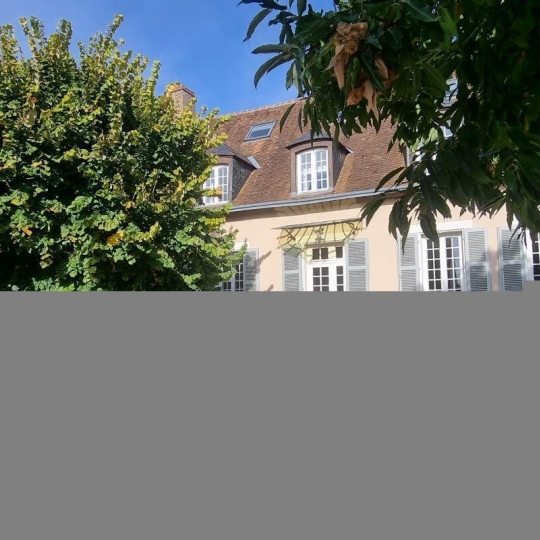  A.C.B.I. - AGENCES CHRISTINE BOYER IMMOBILIER : Domain / Estate | VENDOME (41100) | 315 m2 | 875 000 € 