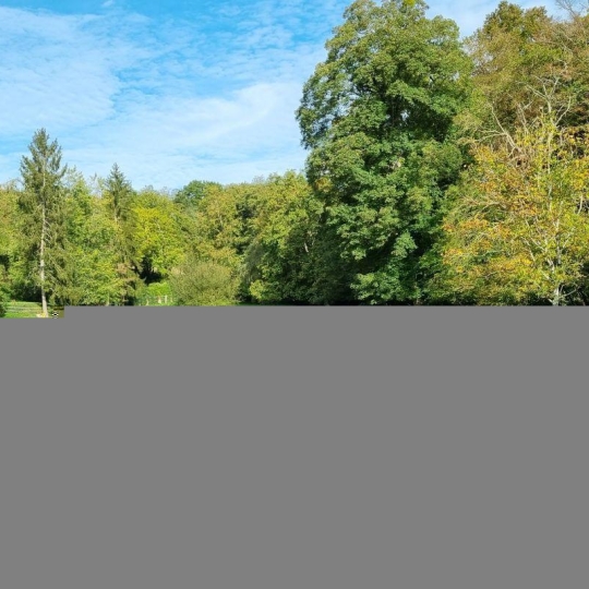  A.C.B.I. - AGENCES CHRISTINE BOYER IMMOBILIER : Domaines / Propriétés | VENDOME (41100) | 315 m2 | 790 000 € 