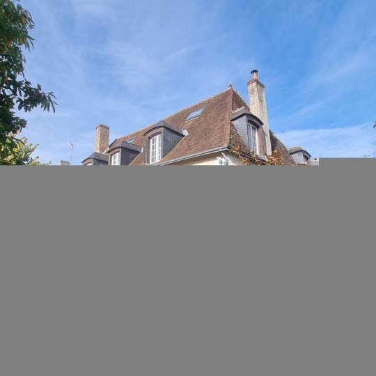  A.C.B.I. - AGENCES CHRISTINE BOYER IMMOBILIER : Domaines / Propriétés | VENDOME (41100) | 315 m2 | 790 000 € 