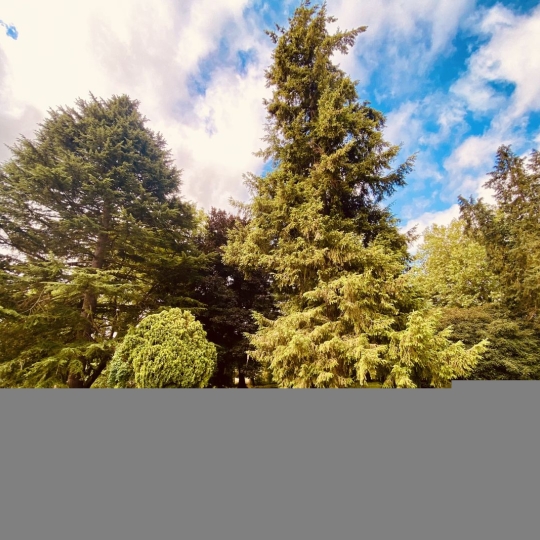  A.C.B.I. - AGENCES CHRISTINE BOYER IMMOBILIER : Maison / Villa | MAZANGE (41100) | 153 m2 | 298 000 € 