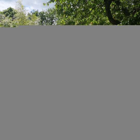  A.C.B.I. - AGENCES CHRISTINE BOYER IMMOBILIER : House | VENDOME (41100) | 100 m2 | 136 990 € 
