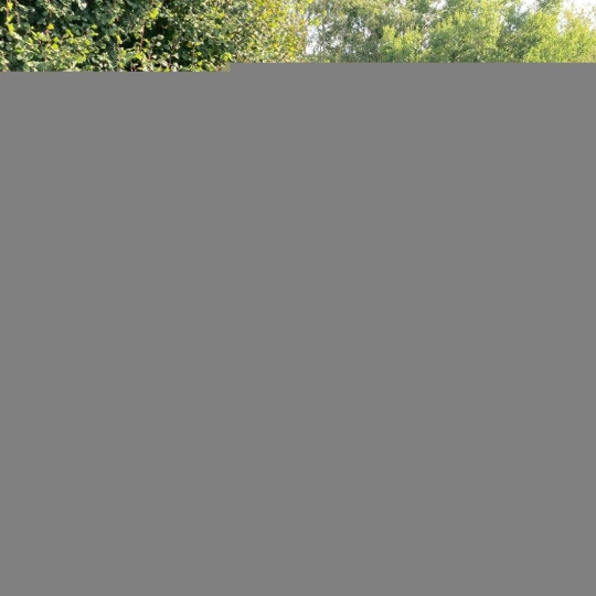  A.C.B.I. - AGENCES CHRISTINE BOYER IMMOBILIER : Maison / Villa | VENDOME (41100) | 265 m2 | 388 500 € 