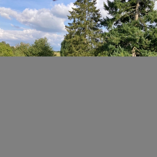  A.C.B.I. - AGENCES CHRISTINE BOYER IMMOBILIER : Maison / Villa | VENDOME (41100) | 265 m2 | 388 500 € 