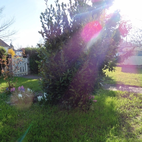  A.C.B.I. - AGENCES CHRISTINE BOYER IMMOBILIER : House | BLOIS (41000) | 103 m2 | 128 000 € 