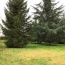  A.C.B.I. - AGENCES CHRISTINE BOYER IMMOBILIER : Ground | OUZOUER-LE-MARCHE (41240) | 0 m2 | 56 000 € 