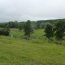  A.C.B.I. - AGENCES CHRISTINE BOYER IMMOBILIER : Ground | VENDOME (41100) | 0 m2 | 39 800 € 