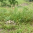  A.C.B.I. - AGENCES CHRISTINE BOYER IMMOBILIER : Ground | VENDOME (41100) | 0 m2 | 39 800 € 