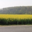  A.C.B.I. - AGENCES CHRISTINE BOYER IMMOBILIER : Ground | LA CHAPELLE-ENCHERIE (41290) | 0 m2 | 29 800 € 