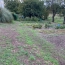  A.C.B.I. - AGENCES CHRISTINE BOYER IMMOBILIER : House | SELOMMES (41100) | 42 m2 | 131 500 € 