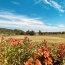  A.C.B.I. - AGENCES CHRISTINE BOYER IMMOBILIER : House | VENDOME (41100) | 205 m2 | 447 200 € 