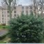  A.C.B.I. - AGENCES CHRISTINE BOYER IMMOBILIER : Apartment | VENDOME (41100) | 92 m2 | 236 250 € 