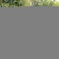  A.C.B.I. - AGENCES CHRISTINE BOYER IMMOBILIER : Maison / Villa | VENDOME (41100) | 265 m2 | 388 500 € 