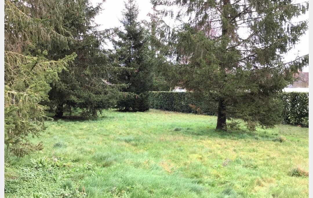 A.C.B.I. - AGENCES CHRISTINE BOYER IMMOBILIER : Ground | OUZOUER-LE-MARCHE (41240) | 0 m2 | 56 000 € 