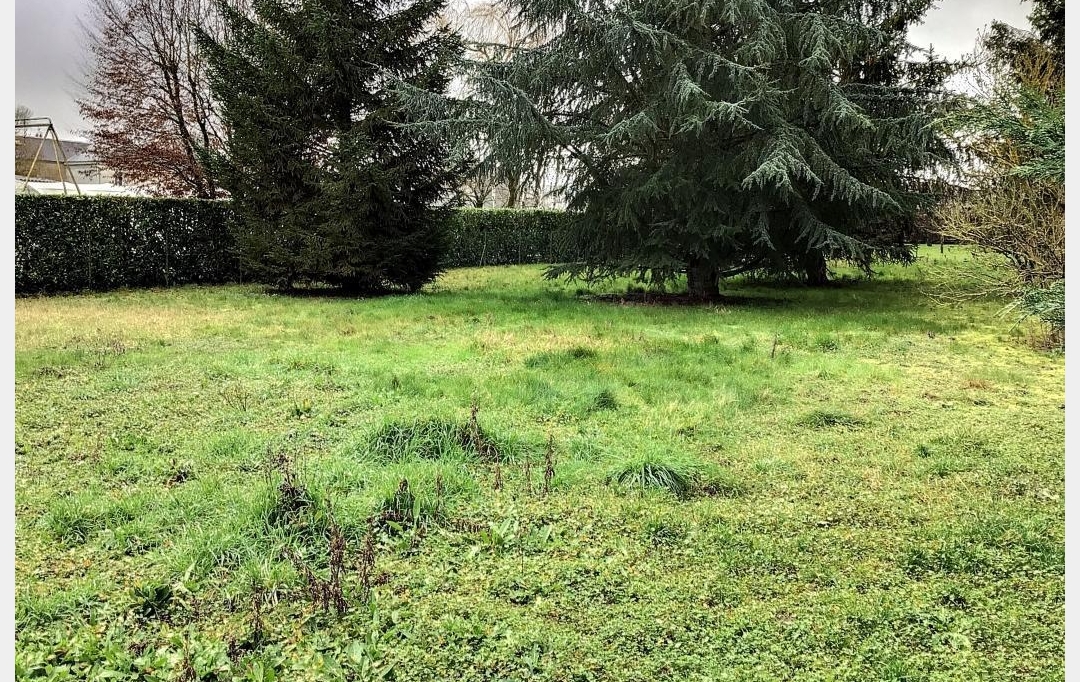 A.C.B.I. - AGENCES CHRISTINE BOYER IMMOBILIER : Ground | OUZOUER-LE-MARCHE (41240) | 0 m2 | 56 000 € 