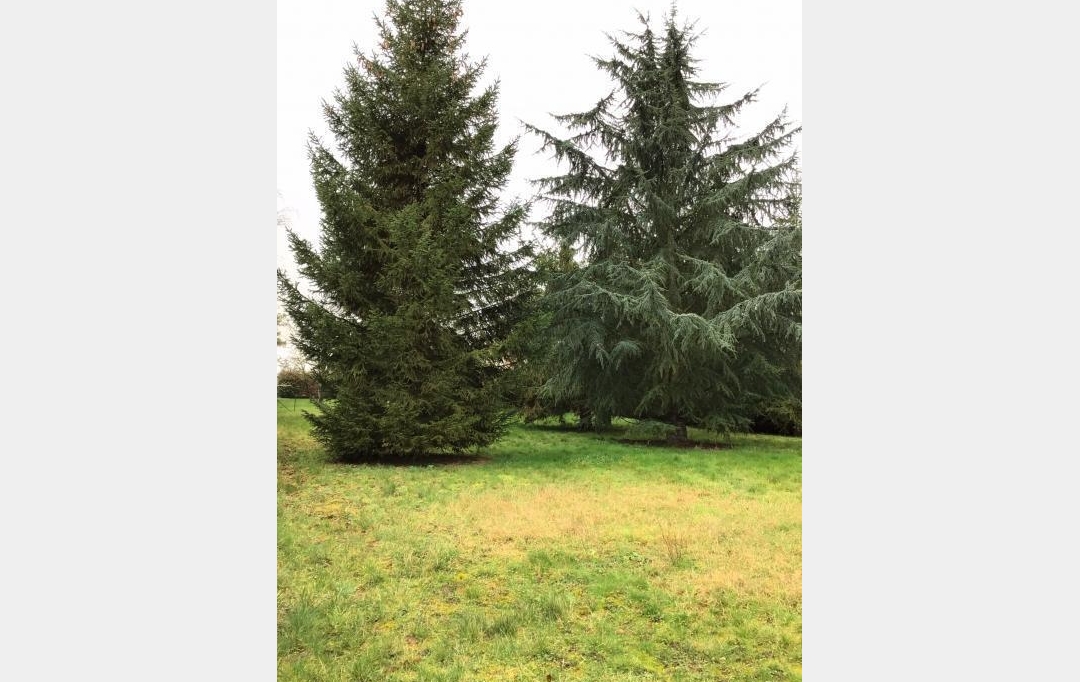 A.C.B.I. - AGENCES CHRISTINE BOYER IMMOBILIER : Ground | OUZOUER-LE-MARCHE (41240) | 0 m2 | 56 000 € 