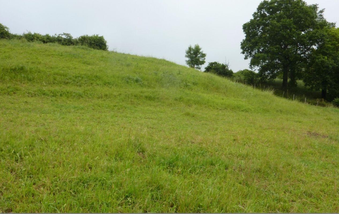 A.C.B.I. - AGENCES CHRISTINE BOYER IMMOBILIER : Ground | VENDOME (41100) | 0 m2 | 39 800 € 