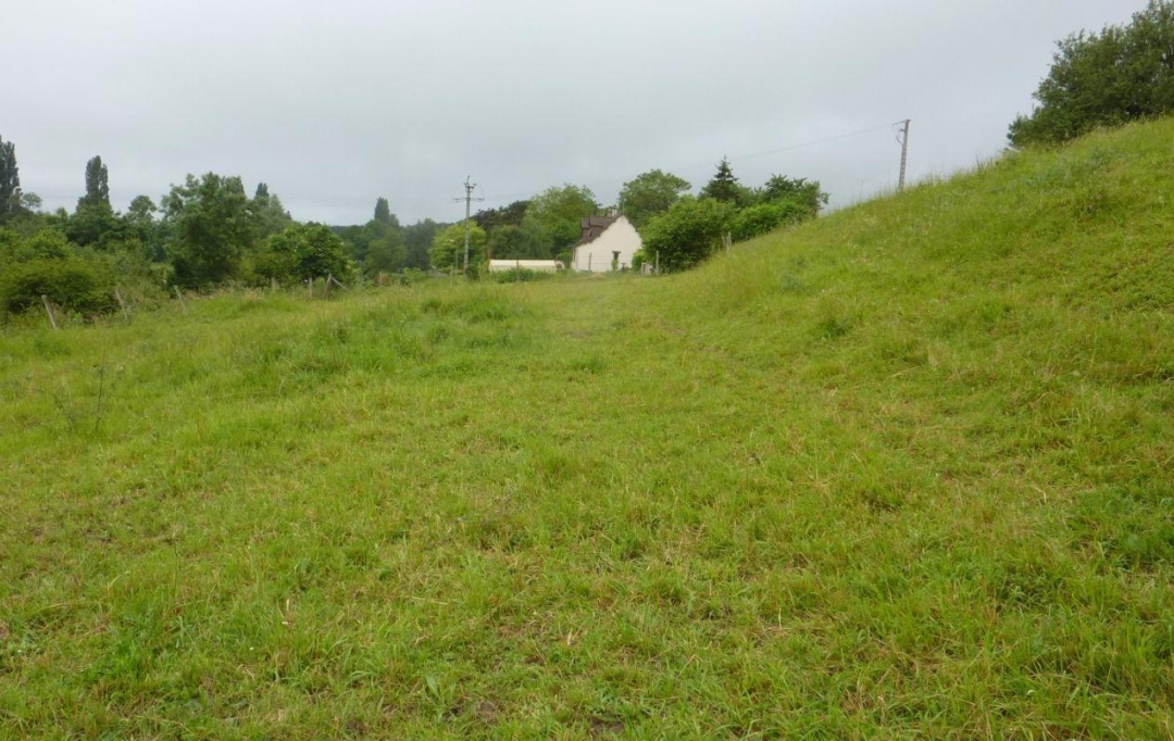 A.C.B.I. - AGENCES CHRISTINE BOYER IMMOBILIER : Terrain | VENDOME (41100) | 0 m2 | 46 800 € 