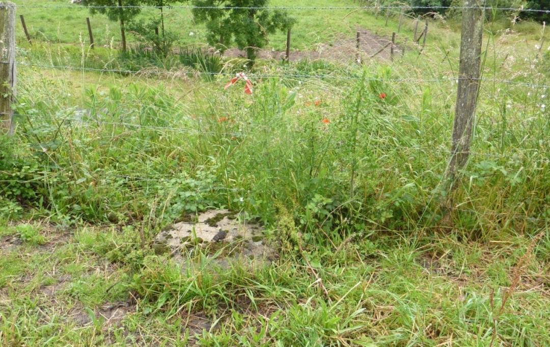 A.C.B.I. - AGENCES CHRISTINE BOYER IMMOBILIER : Ground | VENDOME (41100) | 0 m2 | 39 800 € 