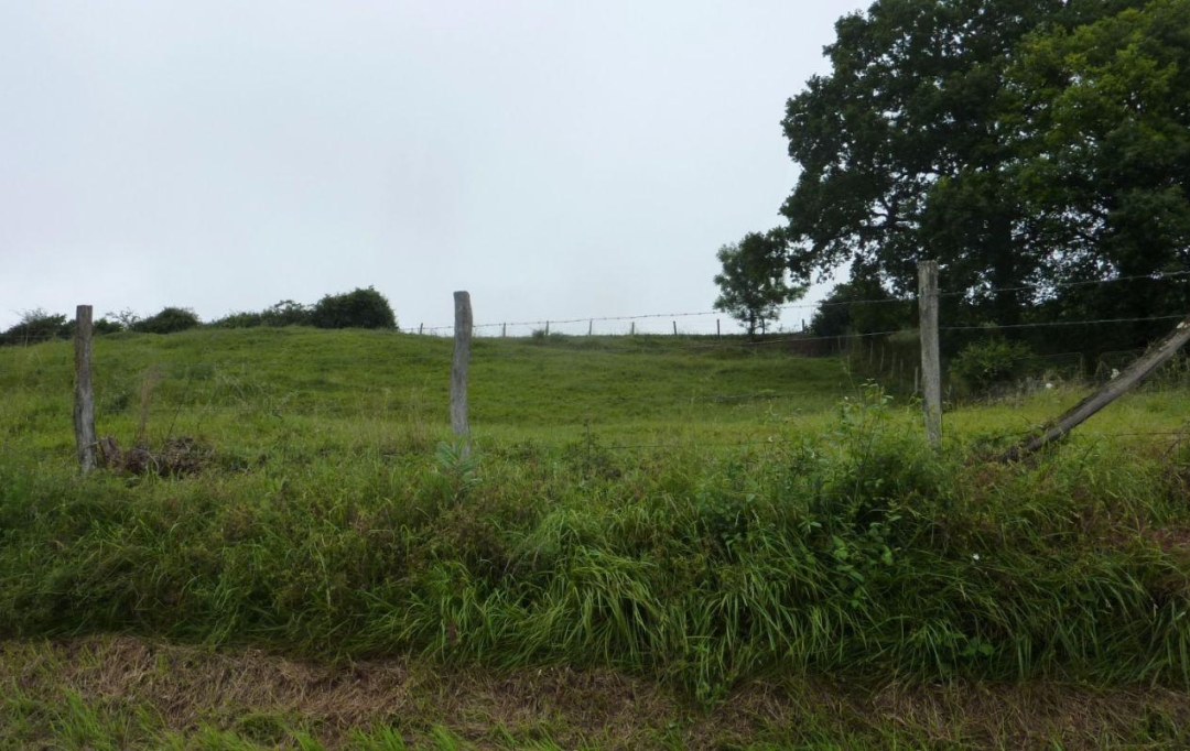 A.C.B.I. - AGENCES CHRISTINE BOYER IMMOBILIER : Ground | VENDOME (41100) | 0 m2 | 39 800 € 