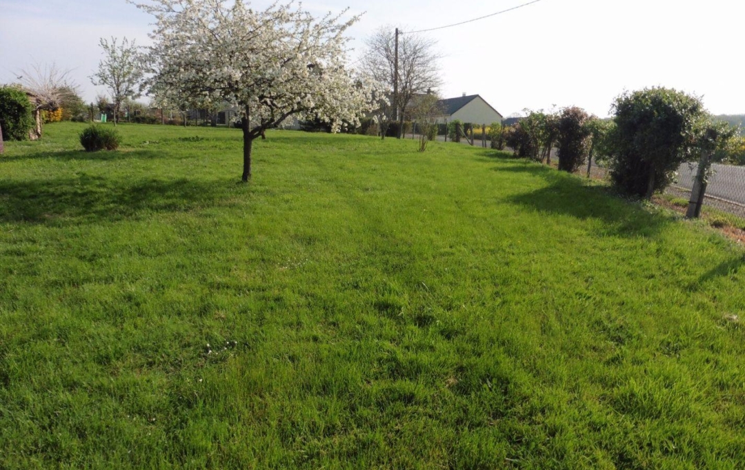 A.C.B.I. - AGENCES CHRISTINE BOYER IMMOBILIER : Ground | LA CHAPELLE-ENCHERIE (41290) | 0 m2 | 29 800 € 