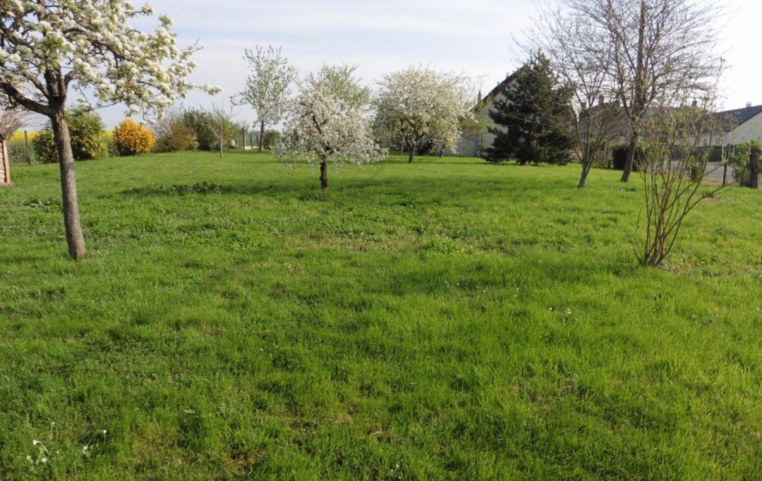 A.C.B.I. - AGENCES CHRISTINE BOYER IMMOBILIER : Terrain | LA CHAPELLE-ENCHERIE (41290) | 0 m2 | 29 800 € 