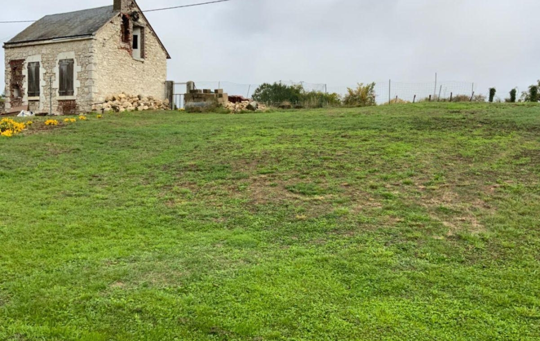 A.C.B.I. - AGENCES CHRISTINE BOYER IMMOBILIER : House | SELOMMES (41100) | 42 m2 | 131 500 € 