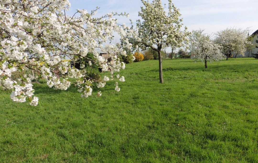 A.C.B.I. - AGENCES CHRISTINE BOYER IMMOBILIER : Ground | VENDOME (41100) | 0 m2 | 24 800 € 