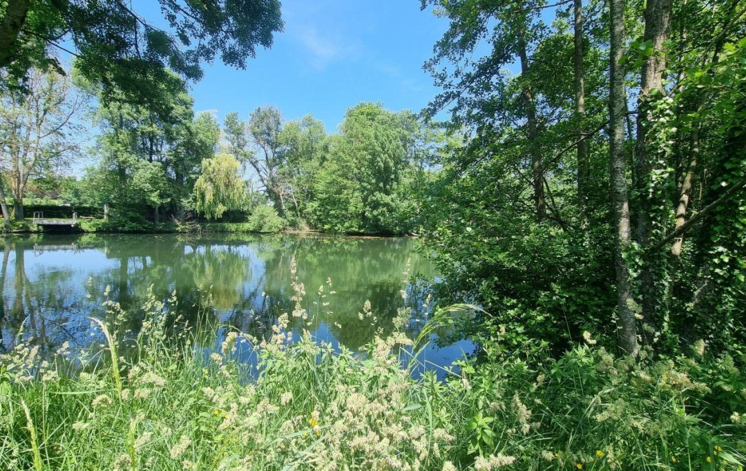 A.C.B.I. - AGENCES CHRISTINE BOYER IMMOBILIER : Terrain | AREINES (41100) | 0 m2 | 8 500 € 
