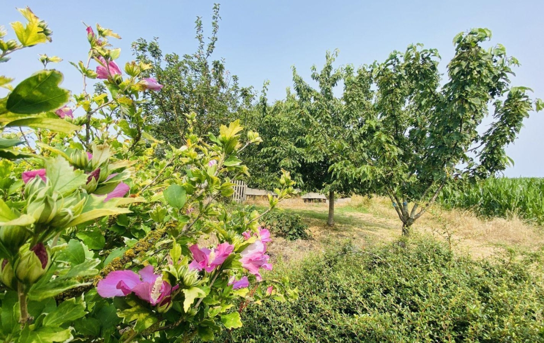 A.C.B.I. - AGENCES CHRISTINE BOYER IMMOBILIER : House | VENDOME (41100) | 200 m2 | 343 200 € 