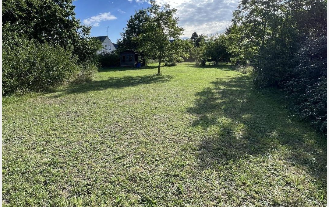 A.C.B.I. - AGENCES CHRISTINE BOYER IMMOBILIER : Ground | AUTAINVILLE (41240) | 0 m2 | 10 000 € 