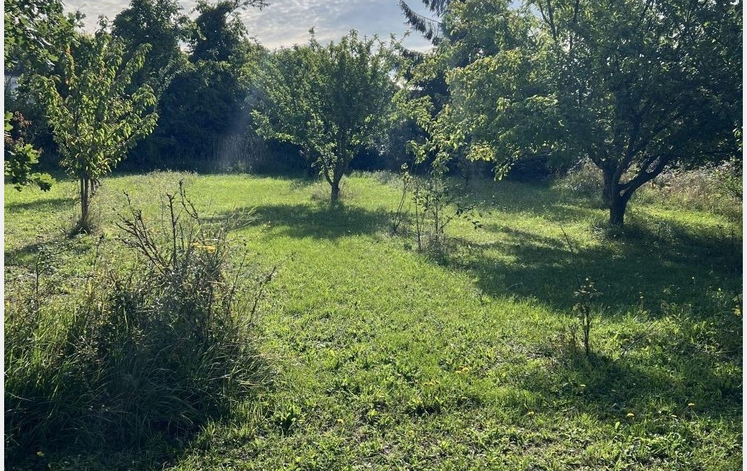 A.C.B.I. - AGENCES CHRISTINE BOYER IMMOBILIER : Ground | AUTAINVILLE (41240) | 0 m2 | 10 000 € 