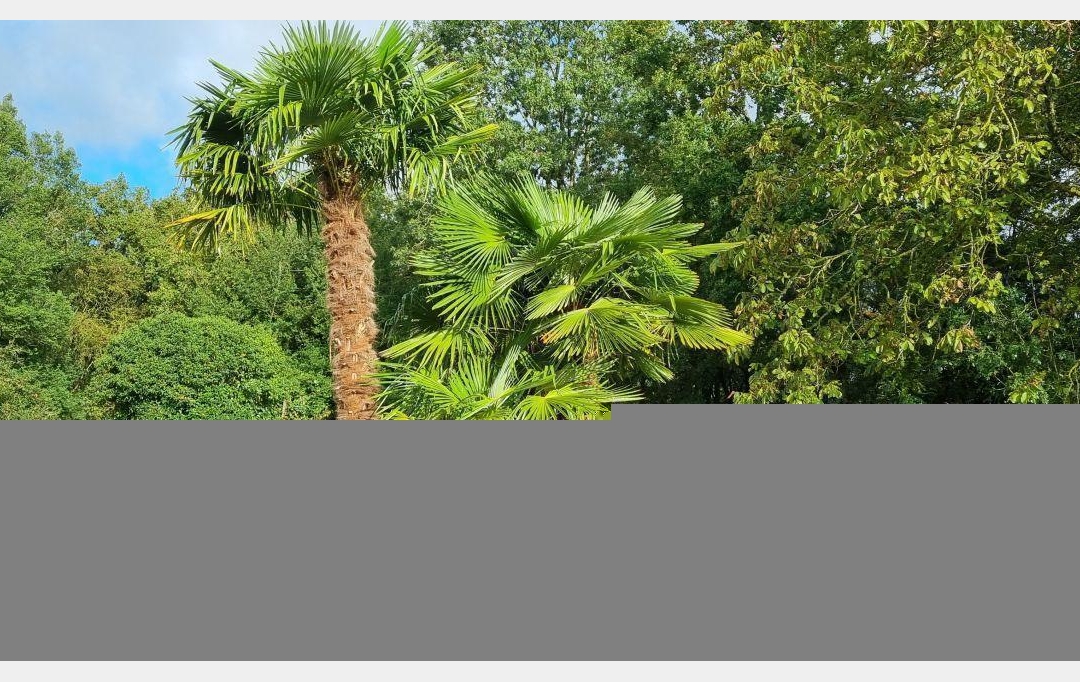 A.C.B.I. - AGENCES CHRISTINE BOYER IMMOBILIER : House | VENDOME (41100) | 275 m2 | 479 500 € 