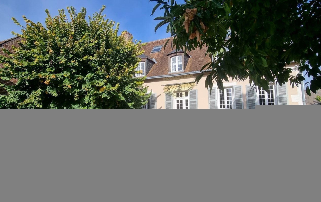 A.C.B.I. - AGENCES CHRISTINE BOYER IMMOBILIER : Domain / Estate | VENDOME (41100) | 315 m2 | 875 000 € 